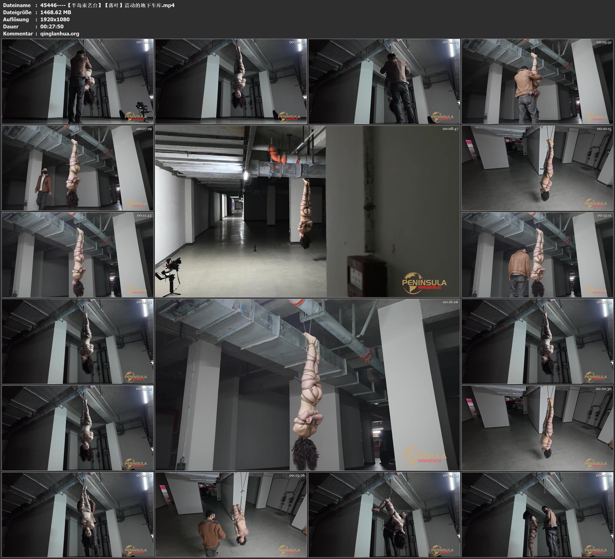 45446----【半岛束艺台】【落叶】震动的地下车库.jpg