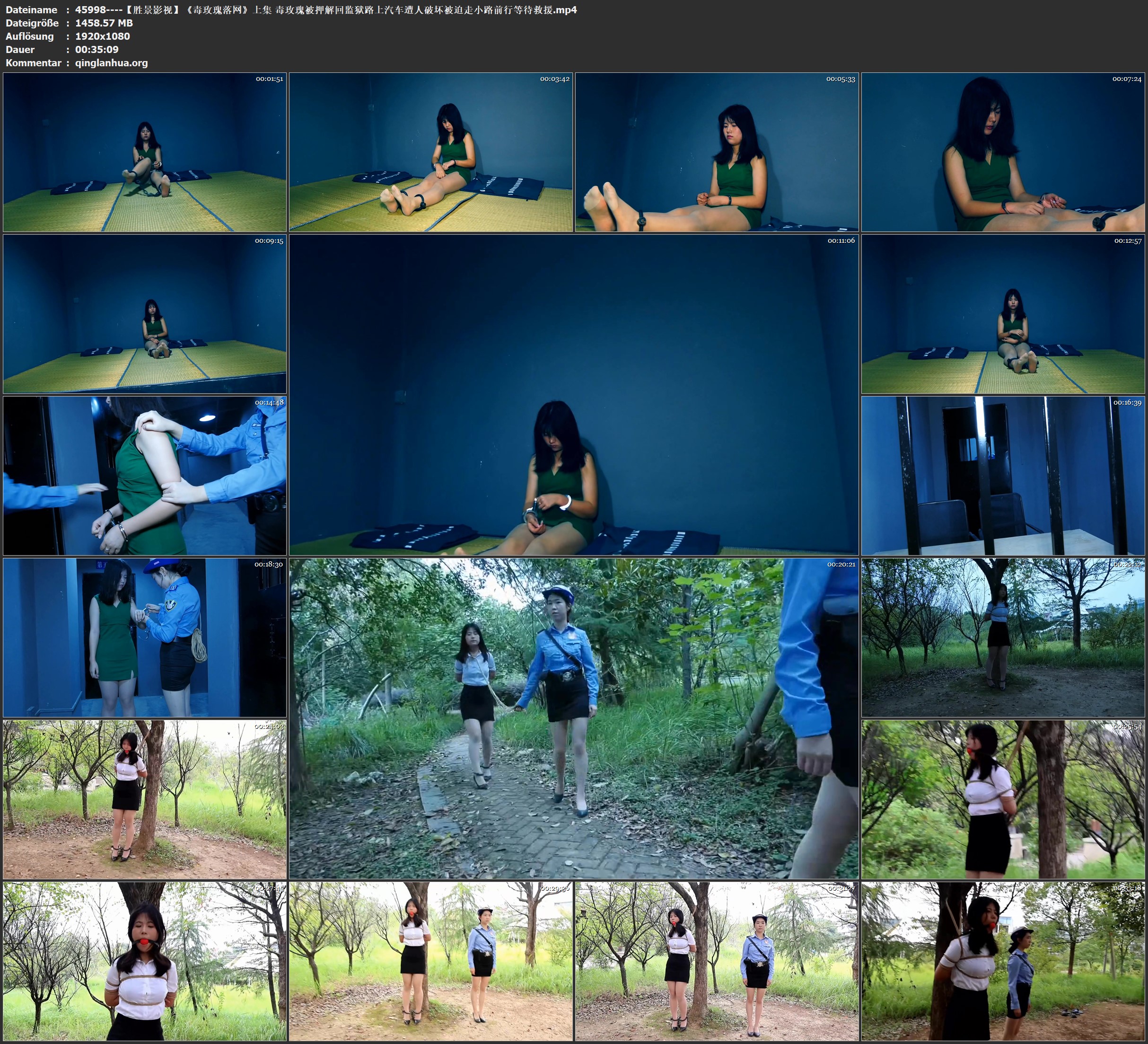 45998----【胜景影视】《毒玫瑰落网》上集 毒玫瑰被押解回监狱路上汽车遭人破坏被迫走.jpg