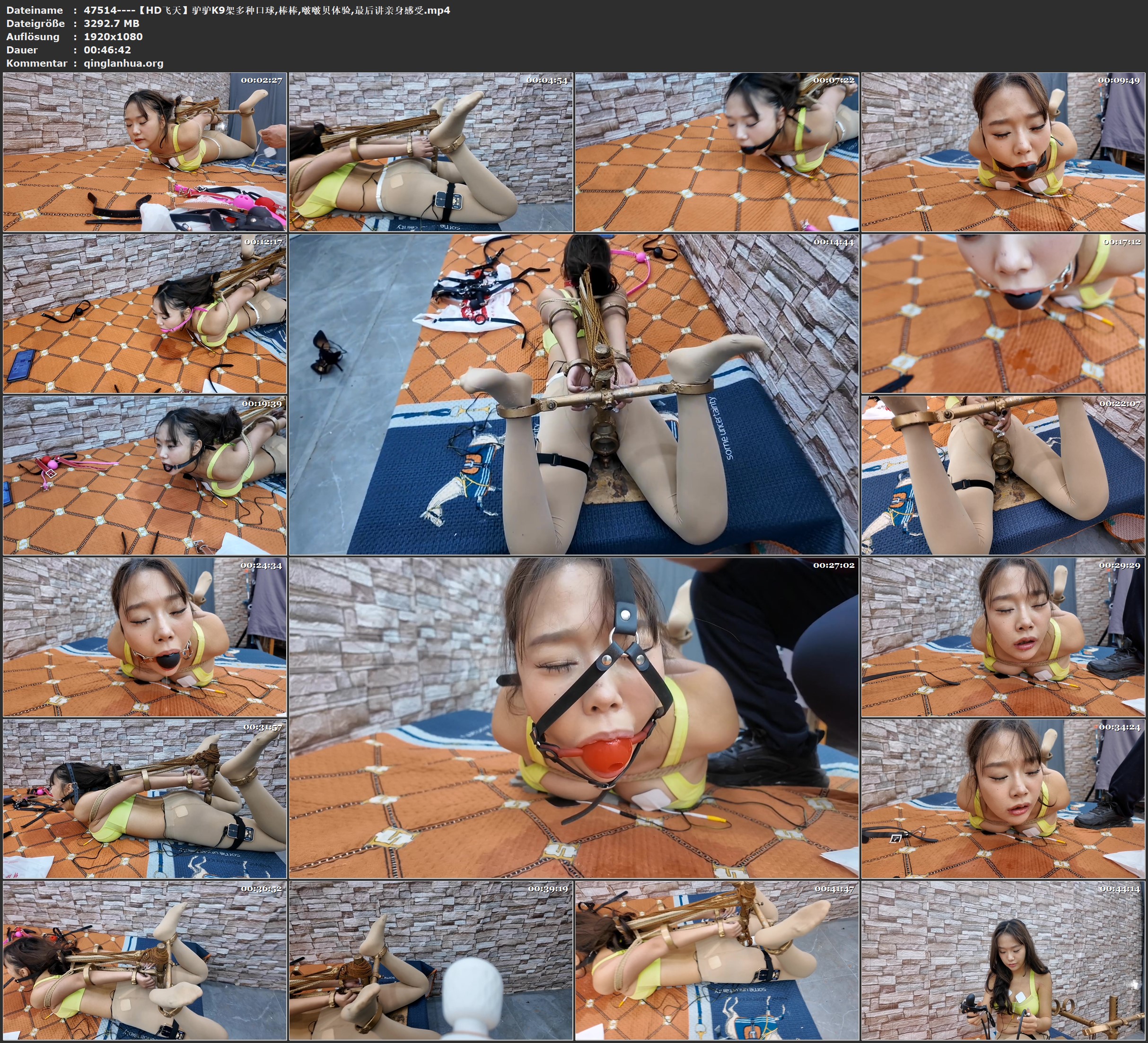 47514----【HD飞天】驴驴K9架多种口球,棒棒,啵啵贝体验,最后讲亲身感受.jpg
