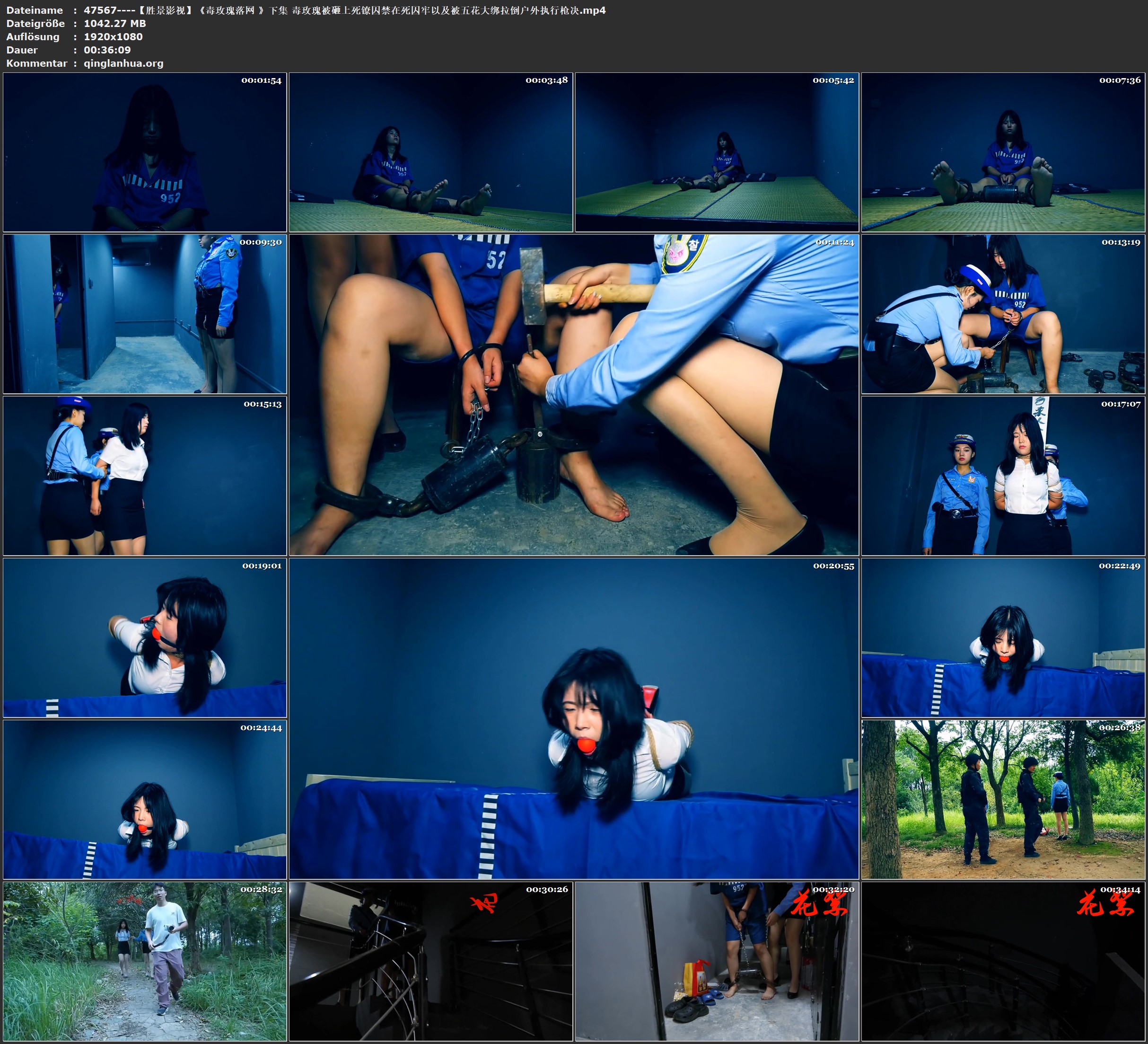 47567----【胜景影视】《毒玫瑰落网 》下集 毒玫瑰被砸上死镣囚禁在死囚牢以及被五花.jpg