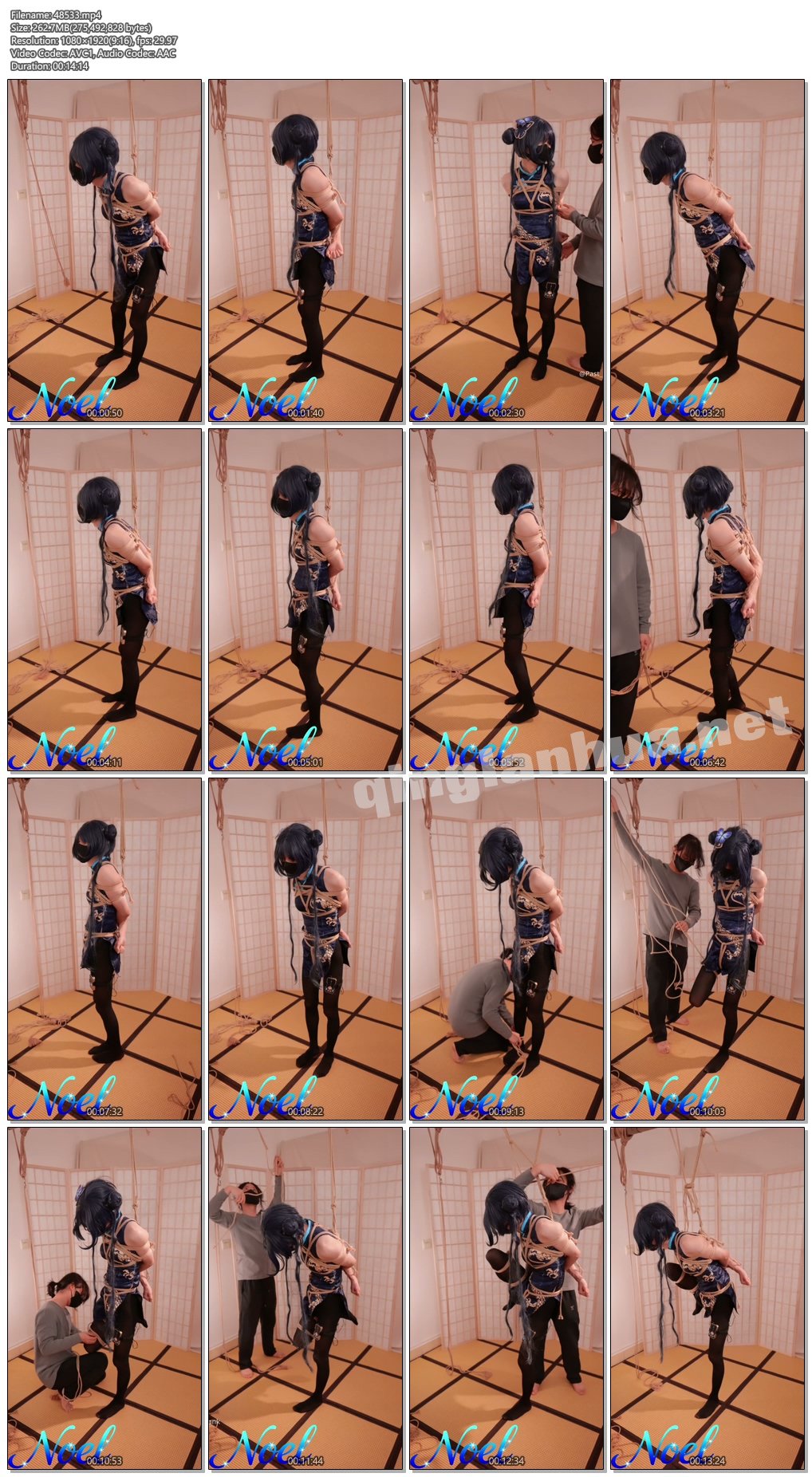 48533----【Noel】蔚蓝档案-龙华妃咲 日式紧缚 电击 放置挣扎 鞭打.jpg