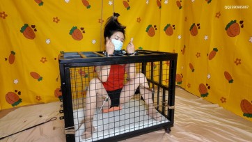 【道士下山】插翅难逃 《困兽之斗》