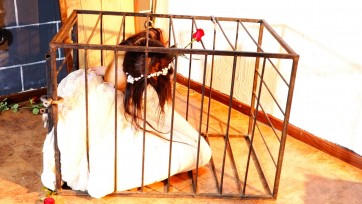 【锐度主张】定制作品 囚笼生日新娘直播