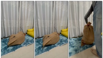 【xxly】牛仔美女后手捆绑麻袋放置