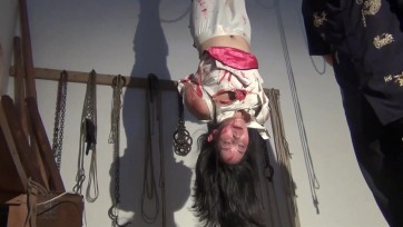 【新胭脂扣】梅香流芳