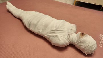 【李大侠原创】木乃伊之佳佳下集