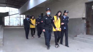 【梨花雨】张丽敏诈骗落网记