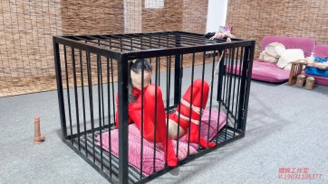 【媚娘工作室】笼中悬吊的瑾初
