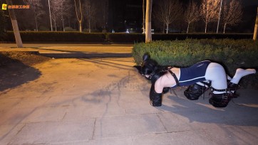 【长颜草】（公园里的人形犬）霜喵k9户外遛狗式爬行调教 sp 抚摸 死库水配白丝双马尾 长距离爬行